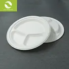 3 compartment biodegradable sugarcane dinner bagasse plates