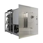 Production Type Touch Screen Control Silicone Oil In-situ Freeze Dryer