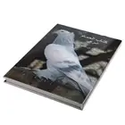High quality cheap price color hardcover photography book printing