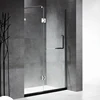 /product-detail/australia-simple-new-bath-screen-partition-support-customize-glass-shower-door-pivot-hinge-prefab-bathroom-door-60768218302.html