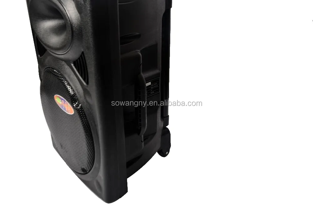 2019 Hot selling portable 15 inch karaoke trolley speaker - ANKUX.COM