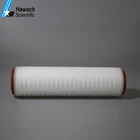 Pharmacy Industry 0.2 micron PES Membrane Pleated Filter Cartridge for water