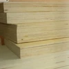 pine wood/ pine lumber board /lvl timber