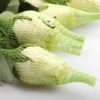 /product-detail/100-flower-degradable-compostable-safe-plastic-rose-bud-protection-net-on-sales-62119435564.html
