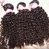 Nice Color 10A Raw Virgin Bouncy Tight Afro Kinky Curly Mongolian Human Hair For Sexy Lady