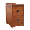 2018 home furniture wooden furniture 2 drawer filing cabinet with many drawers