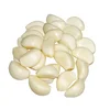 /product-detail/chinese-wholesale-peeled-garlic-with-hand-peeled-garlic-clove-62024601670.html