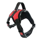 Alibaba wholesale soft training breathable mesh dog harness leashes dog leashes