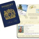 Custom print certificate paper fake passport book booklet printing for children kid games