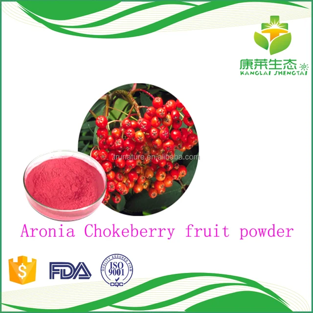 factory supply aronia chokeberry fruit powder 10-20g free sample