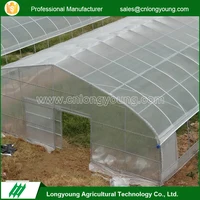 Professional Agricultural Reinforced Commercial Plastic Greenhouses