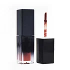 OEM multi shades waterproof long lasting matte lip gloss in square tube