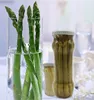 /product-detail/haccp-certified-products-whole-buy-vegetable-bottled-canned-asparagus-price-60629182782.html