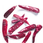 Vietnam fresh dry red chilli pepper export processing