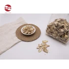 wholesale top grade natural dried ginger flakes dehydrated ginger flakes