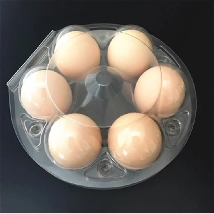 vacuum formed plastic tray