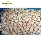 Top quality frozen peeled garlic cloves diced past