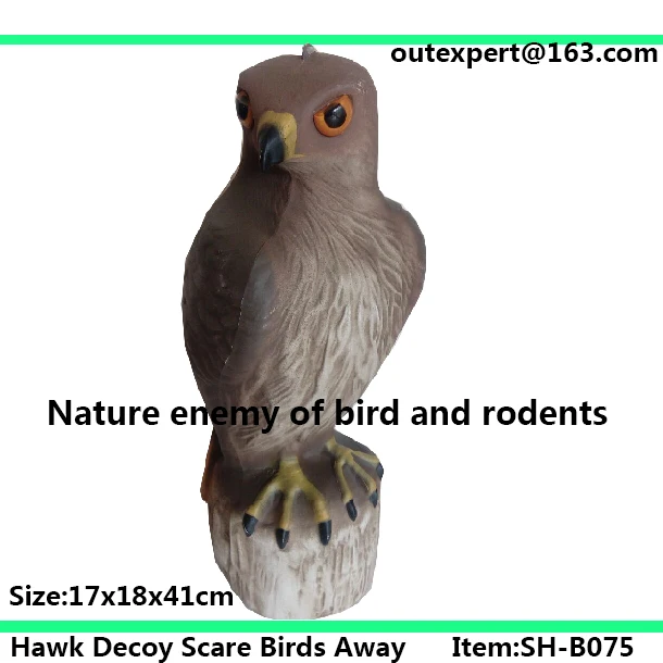 Hawk Decoy Scare Birds Away Buy Hawk Decoy Scare Birds Away,Hawk