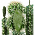Cactus Grafted Cactus Hot Sales 65cm Wholesale Artificial Cactus Costume Cactus Grafted Decoration