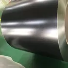 Rubber Coated Cold Rolled Steel In Coil 301 Stainless Steel Sheet
