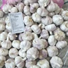 /product-detail/2019-crop-normal-white-garlic-for-export-60570242989.html