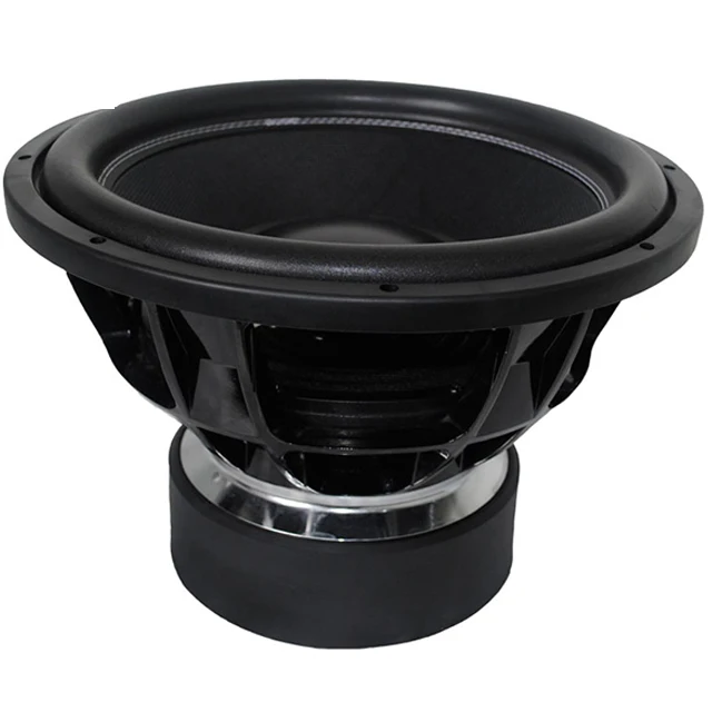 p audio speaker 18 inch 1000w price