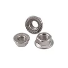 Free Sample DIN 6923 Stainless Steel Hex Flange Head Weld Nut M6 M8 M10