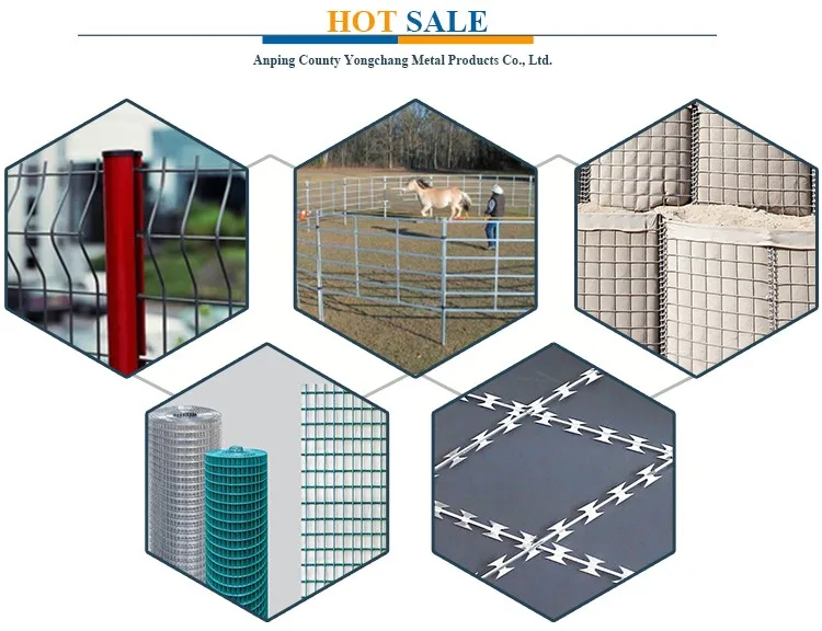 my test Welded wire mesh in rolls