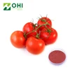 Organic tomato powder pure lycopene powder
