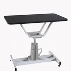Adjustable Lifting Hydraulic Rectangle Pet Grooming Table