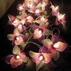 Solar String Light Colorful Twinkle Christmas Holiday Light
