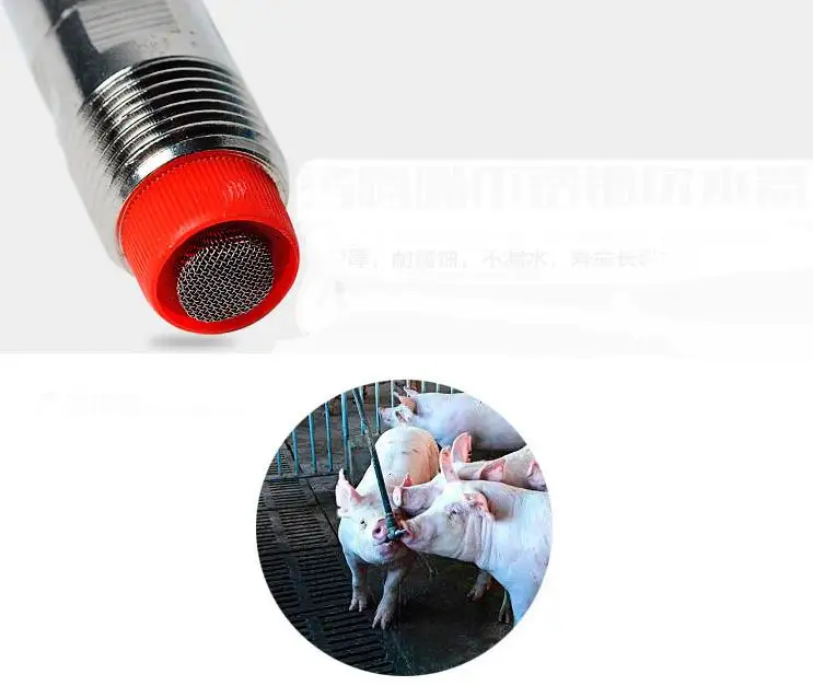 36020171206175731289