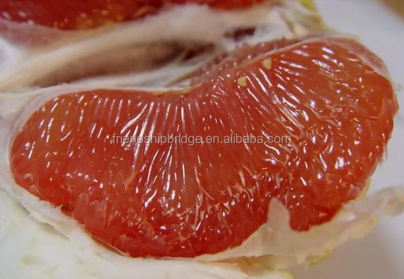 product description 2016 new harvest seedless pomelo fresh fruit