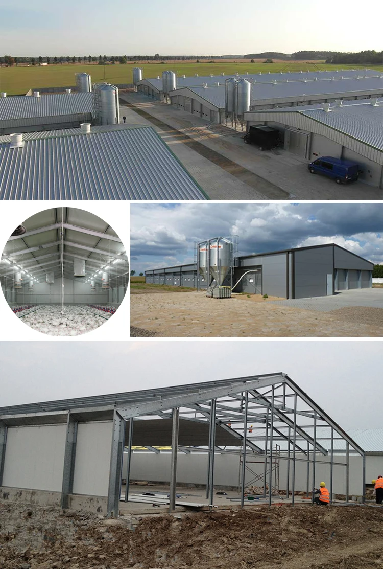 Chinese Steel Structure Commercial Buildings Metal Frame Large Span Hangar