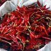 Wholesale Bulk Item Dried Hot Crush Hot Pepper Red Chili