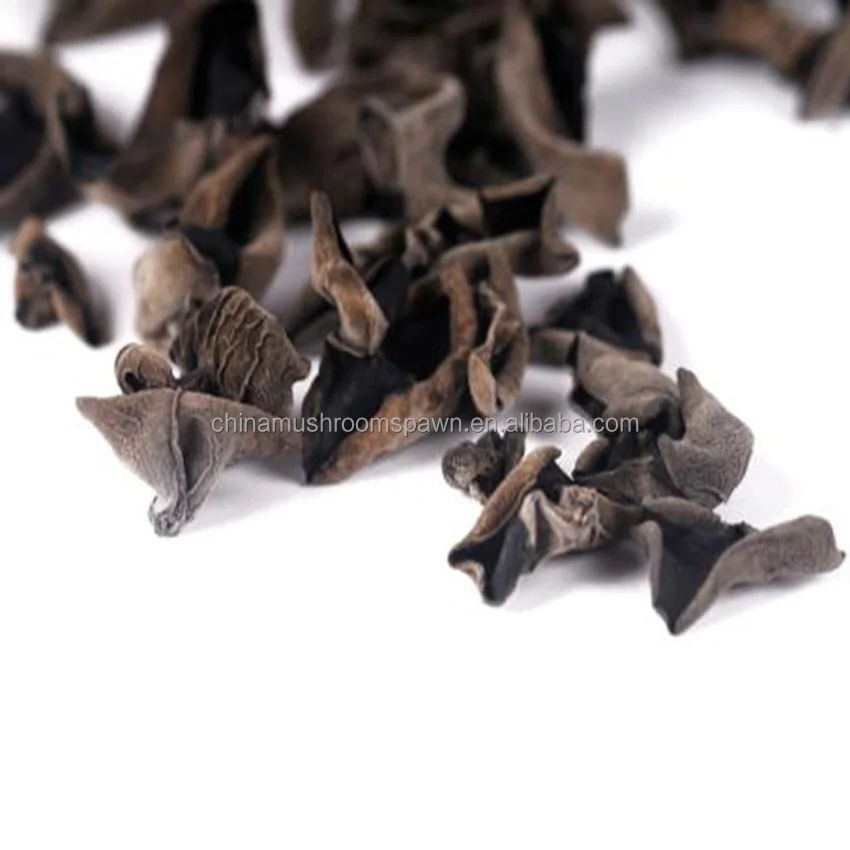 natural black wood ear agaric ear mushroom dried black fungus