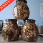 Chinese canned wild suillus granulatus mushrooms marinated with good quality from fresh packed