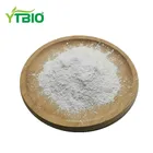 Natural Lemon Fruit Essence Flavor Powder