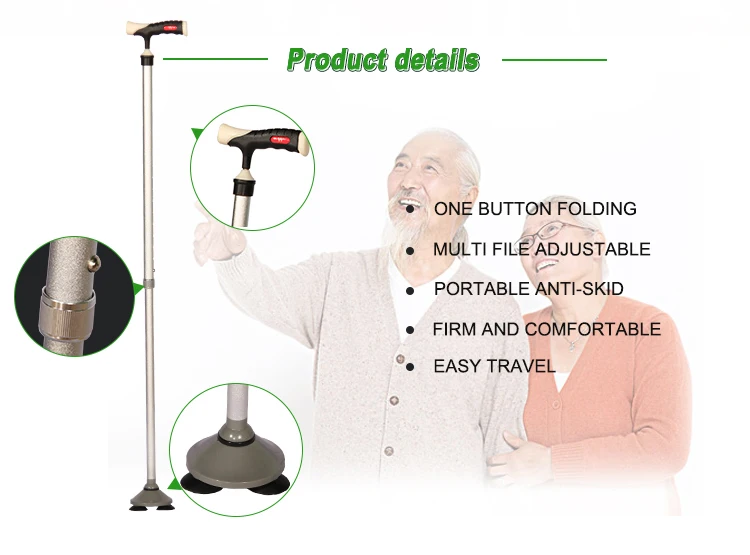 walking stick 2.jpg