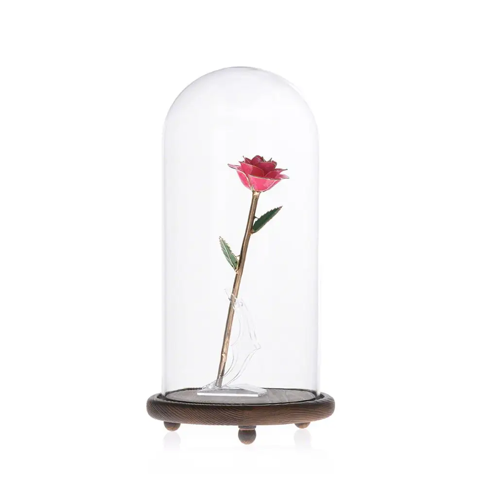 Small Glass Display Dome With Wood Base D10 x H25cm