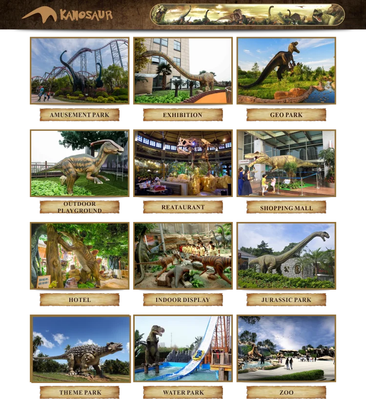 Dinosaur Bones
