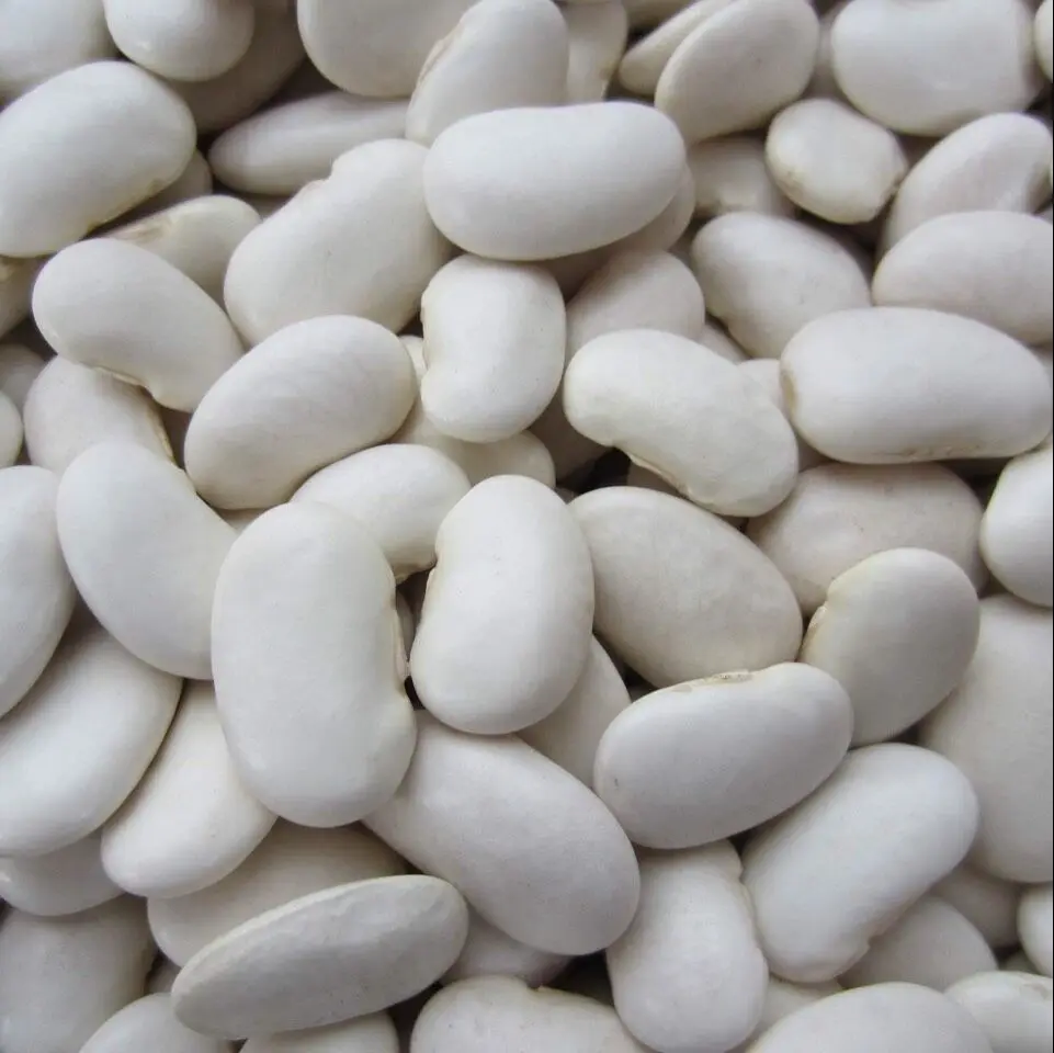 Large Lima Beans