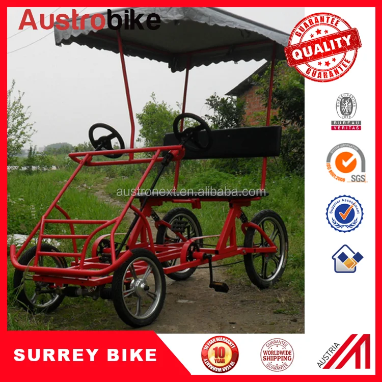 Electric Surrey Bike 4 Person Surrey Bike With Roof Led Lighting Buy