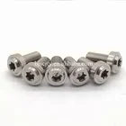 Factory sale customize titanium torx screw