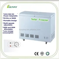 Mini Portable Upright Solar Freezer 12Volt