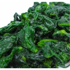 DSF china frozen garlic frozen chopped spinach