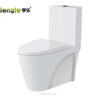 Sanitary Ware Ceramic Ceramic Ceramic Toilet Hot Sale Sanitary Ware Washdown Or Siphonic Ceramic 1 Piece Toilet