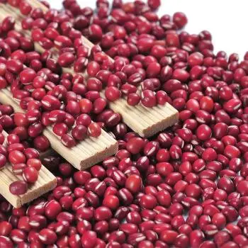 Small Red Kidney Beans With Best Price
