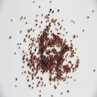 Hot selling water filtration garnet 30 60 mesh