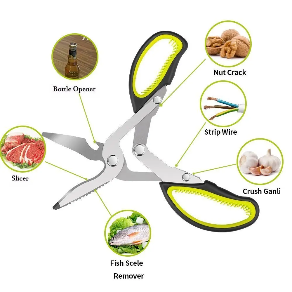 61q-nsCA9SL._SL1000_